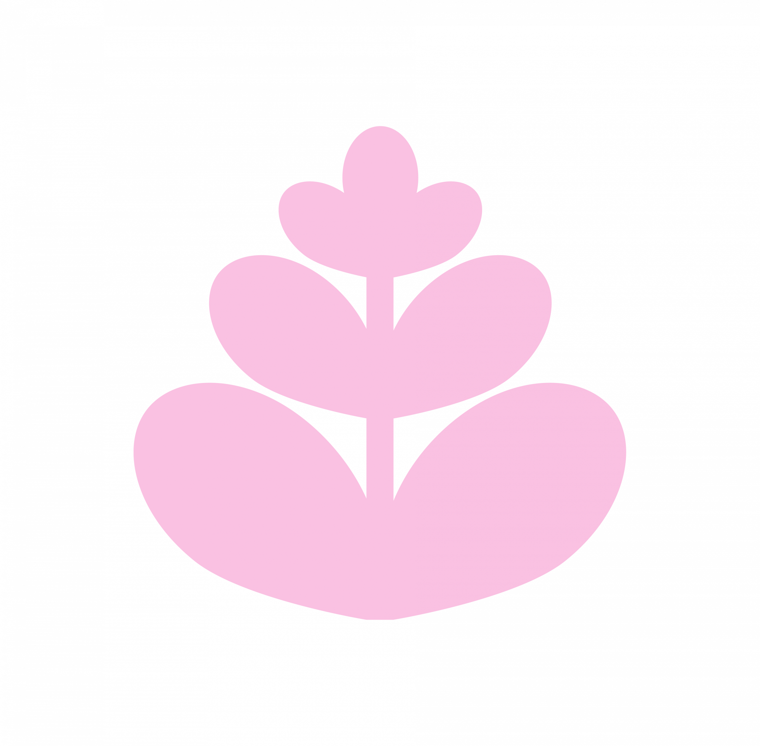 FLORES -01